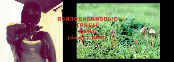 героин Козловка