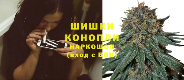 трава Козельск
