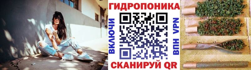 Бошки марихуана марихуана Шуя